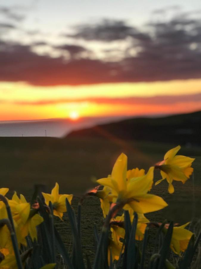 Bunnahabhain 5 - Farm Stay - Stunning sea&rural views Stranraer Exterior foto
