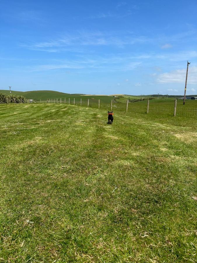 Bunnahabhain 5 - Farm Stay - Stunning sea&rural views Stranraer Exterior foto